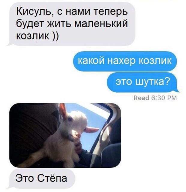 Прикольные картинки. Дневной выпуск (55 фото) Прикольные картинки. Дневной выпуск (55 фото)