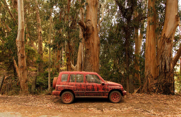 Сгорело дотла