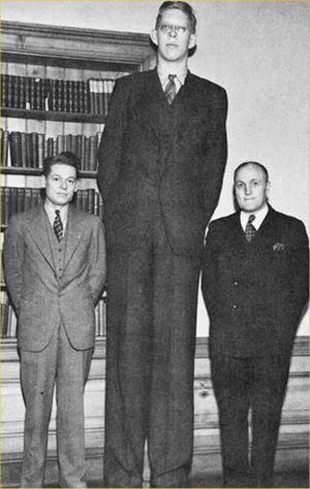 Самый высокий человек в истории человечества фото