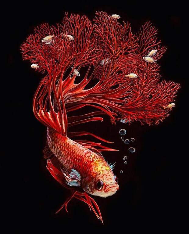 Surreal Fish Art