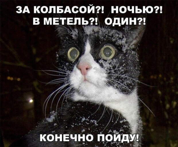 Классные анекдоты и шутки в картинках, которые подарят чудесное настроение