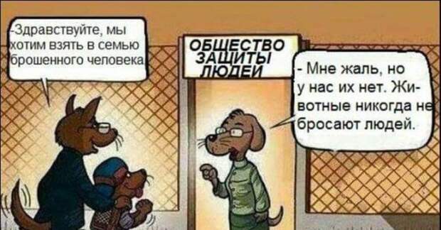 зоозащитный миф
