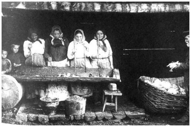 26. Заготовка капусты на зиму 100 лет назад, россия, фото