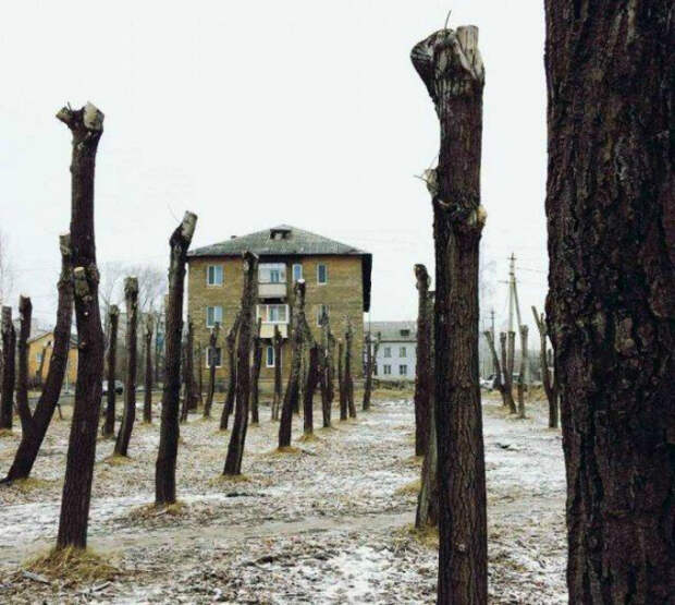 Воодушевляющий вид на парк. Воодушевляющий вид на парк.