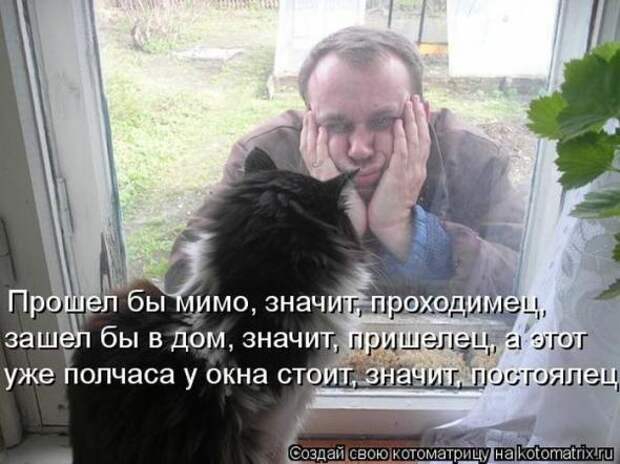 Котоматрицы(картинки с надписями)