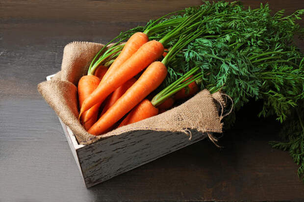 Морковь, подготовленная для хранения