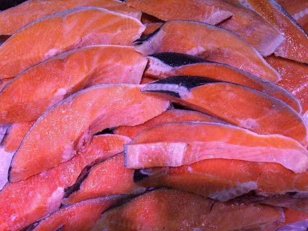 Курт прямо заявляет: «Норвежский лосось — самая токсичная еда во всем мире». загрязнение, исследование, лосось, опасность, рыба, токсины