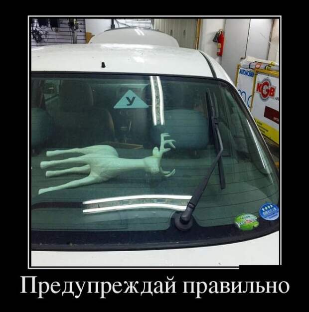 Демотиваторы (30 фото)