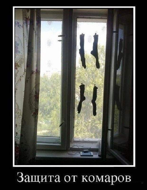 Смешные картинки