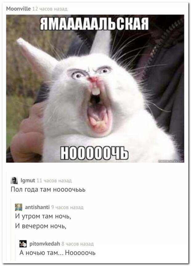 Забавные комментарии из социальных сетей