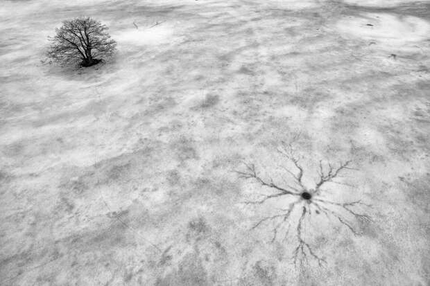 Победители ежегодного фотоконкурса Dronestagram