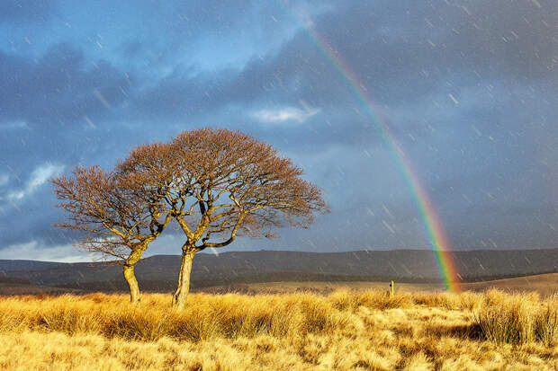 weather-photographer-2016_14