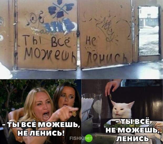 А вам нравятся мемы с белым котом?