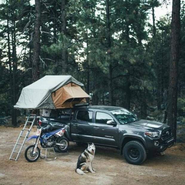 Прикольные картинки абавсём:D (12.08.16)