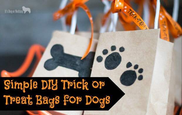 Want to include your furry friend in the Halloween festivities? Try these simple DIY Trick or Treat bags for dogs!