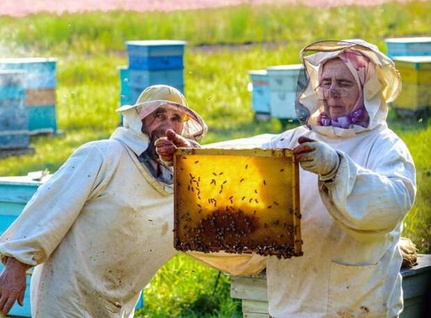 Засахаривается ли натуральный мед при хранении?