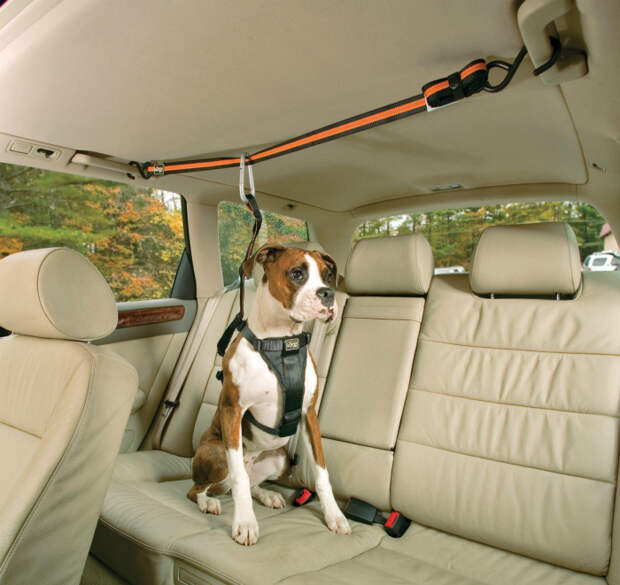 Собачий ремень безопасности Auto zip line.