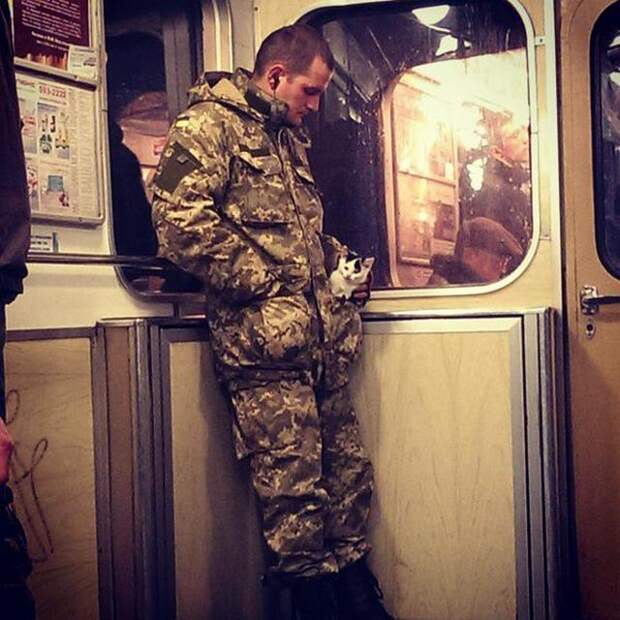 Больше, чем просто фото... жизненно, трогательно, фото