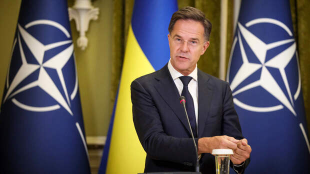 Рютте: вступление Украины в НАТО пока не обсуждается