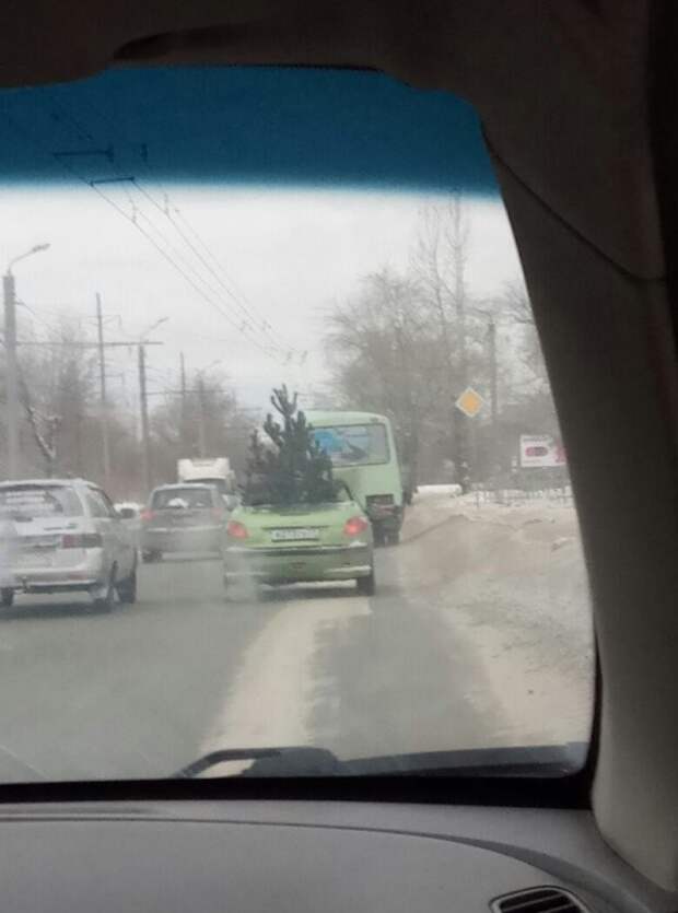 Прикольные фото уходящего года! приколы, фото, юмор