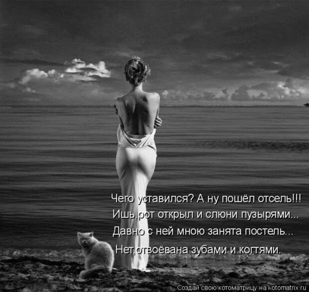 Лучшие котоматрицы недели (50 фото)