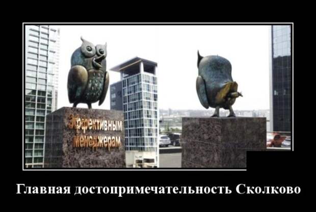 Демотиваторы (30 фото)