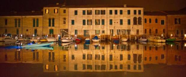 Экологический кинофестиваль «Форма жизни» пройдет в Перми