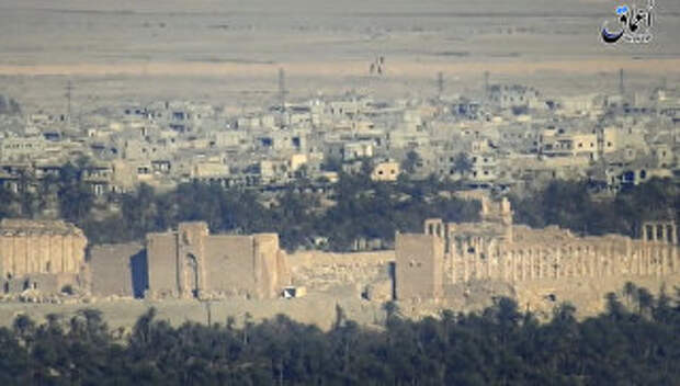 Вид исторической части Пальмиры в сирийской провинции Хомс. Архивное фото