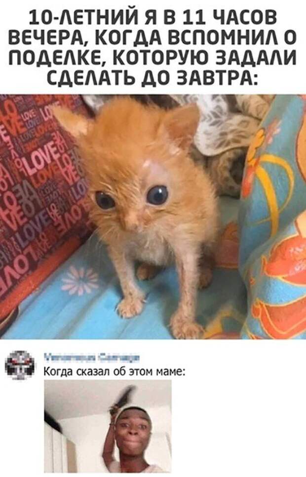 Прикольные и смешные картинки