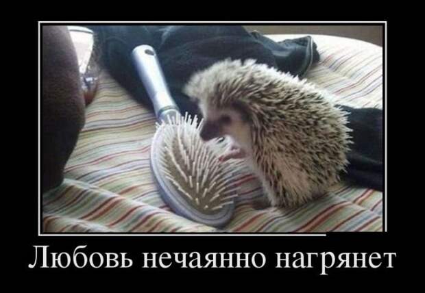 demotivatory_na_sredu_29_foto_7.jpg