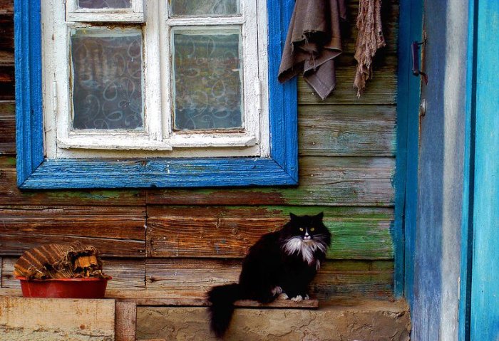 Многие столетия люди испытывали страх перед сглазом, порчей и различными суевериями / Фото: twitter.com