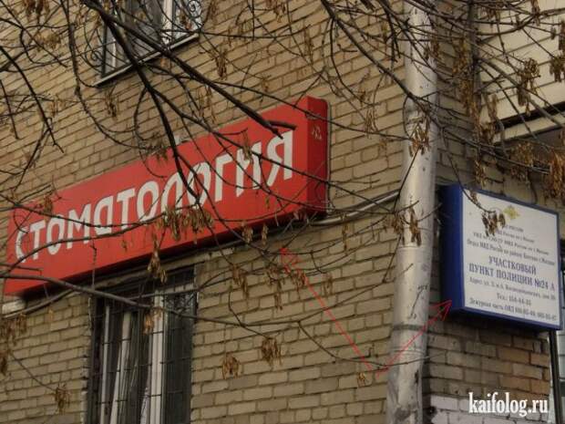 Русские приколы и маразмы (50 фото)
