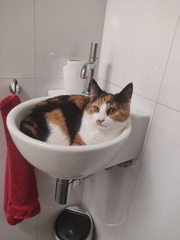 Нет, не уйду Нет, не уйду