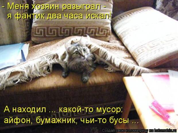 Лучшие котоматрицы недели Лучшие котоматрицы недели
