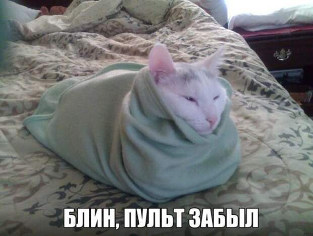 Смешная галерея фотоприколов # 132