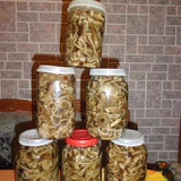 маринованные грибы