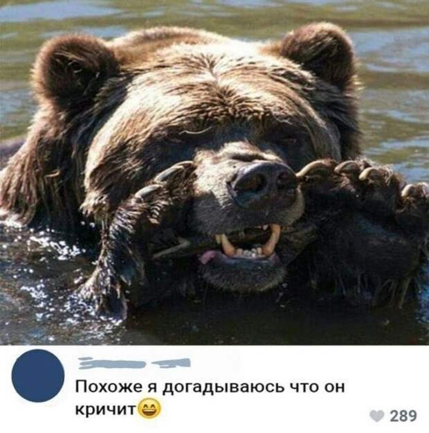 Фотоприколы и прикольные картинки