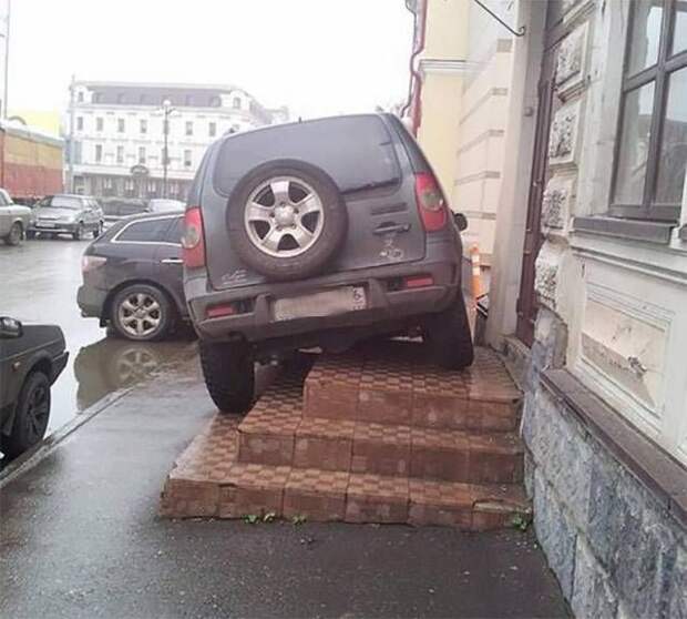 Позитивные фотографии и веселые картинки для улыбки (11 фото)