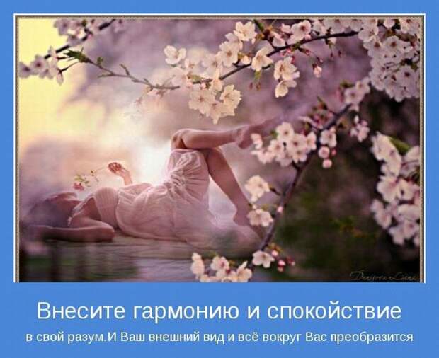 Позитивные мотиваторы с самого утра