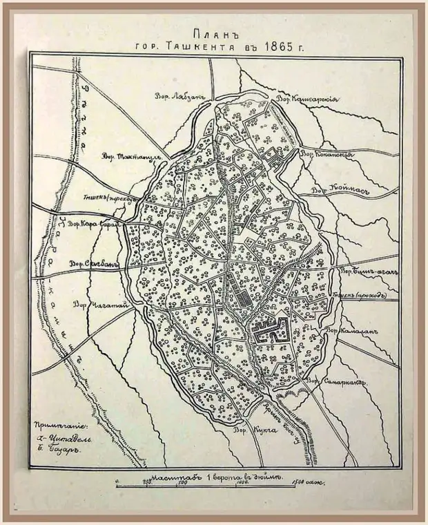 Как «Ермак XIX века» взял штурмом Ташкент