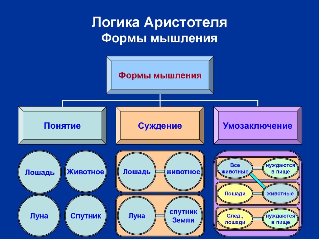 Почему в наших школах не преподают логику?