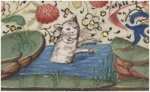 5. Морда этого кота попросту смешна коты, средние века, страдающее средневековье, ужас