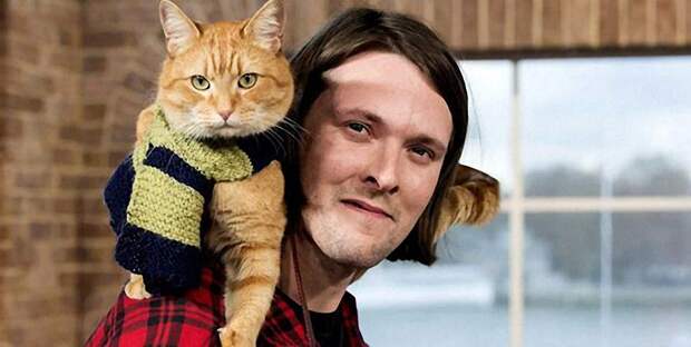 Bobthecat14 Рыжий кот Боб