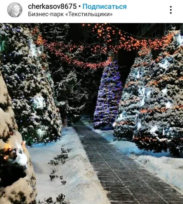 Фото дня: сказочный лес в Текстильщиках