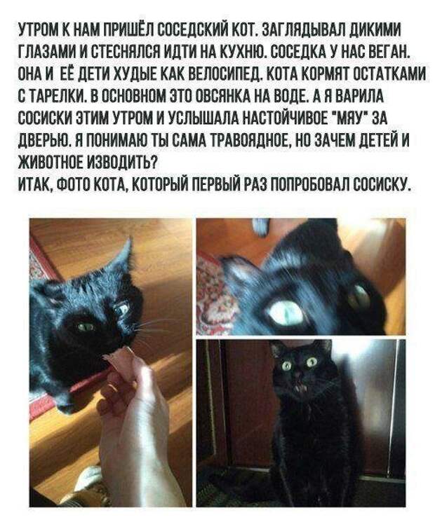 www.vsyako.net