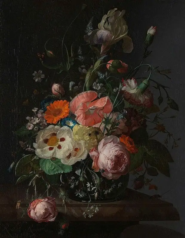  Rachel Ruysch (1664  1750).   