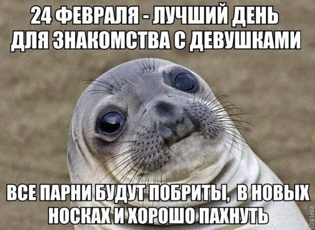 Смешные картинки с надписями прикол, юмор