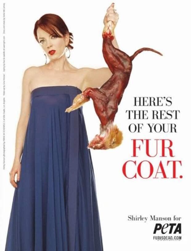 музыканты - защитники животных PETA Ширли Мэнсон