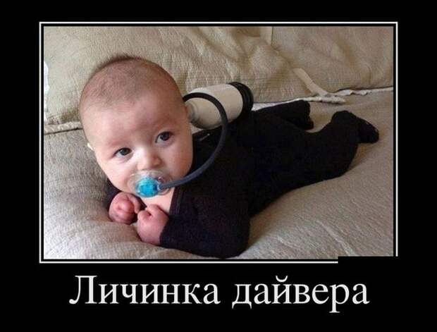 Демотиваторы (30 фото)