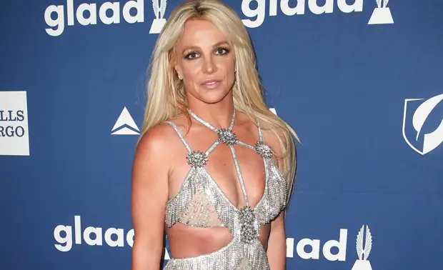 Мать Бритни Спирс потребовала от певицы 660 тысяч долларов